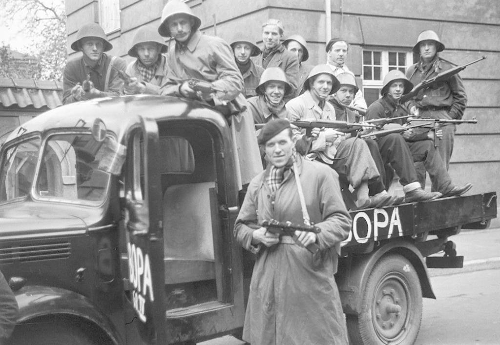 Danish troops on parade.jpg